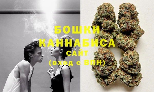 шишки Баксан