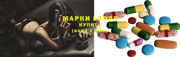 шишки Баксан