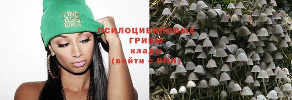 2c-b Беломорск